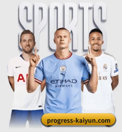 五大服务分区,信息按项目分类 - kaiyun